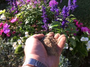Ein Blumenbeet mit einer Hand voll organischer Dünger