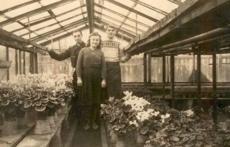 Gärtnerei 1948 in der Mitte Mutter von Steffen Schröder
