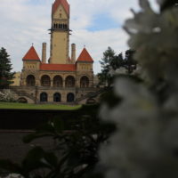 Krematorium hinter Rhododendron
