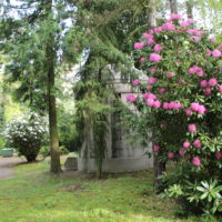 Grabstätte hinter Rhododendron
