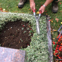 Grabpflege - Leistung der Blumenhalle - Die Herbstbepflanzung