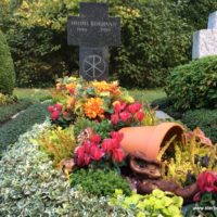 Herbstbepflanzung 2017 Blumenhalle