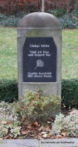 Gedenkstein an Johann Wolfgang von Goethe - Friedhof Möckern